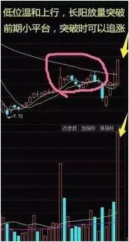 跌停到底涨停？盘中竟然也能这么畅快“洗盘” 