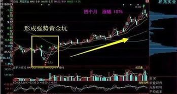 黄金坑股票最新行情:你不想错过的投资鞋垫