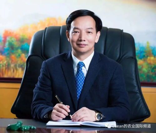 陈丹——农业银行行长的风采 