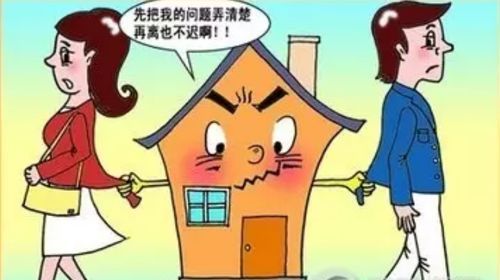 儿子离婚财产分配全攻略：别让资产变成“八卦” 